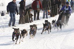 Lenk 2012 SM